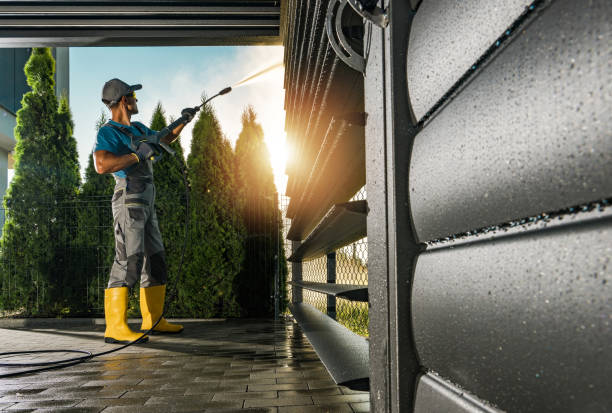 Best Soft Washing for Delicate Surfaces in Shenandoah Farms, VA